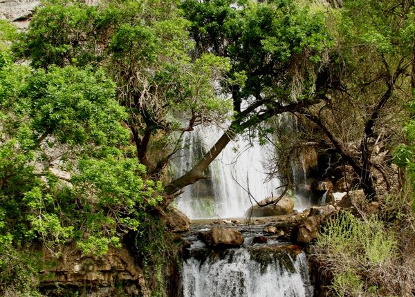 تنگ تامرادی، دهدشت